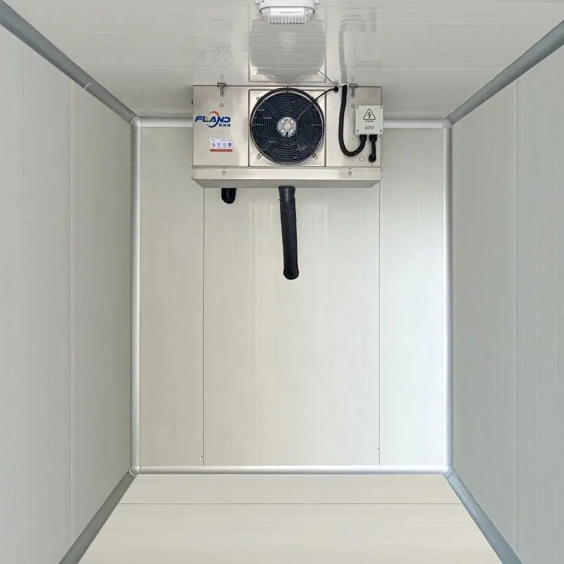 How to Customize an Efficient Cold Storage Solution: Tailored for Your ...